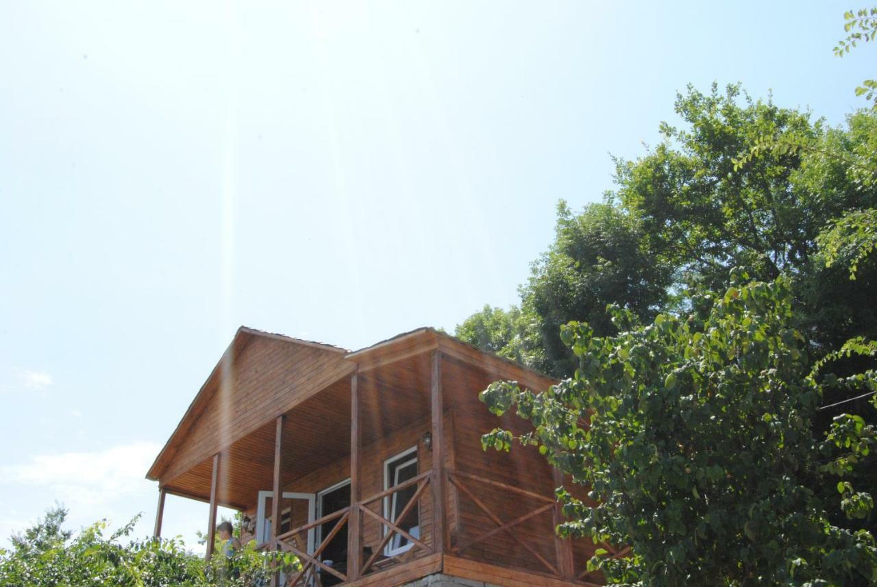 Tsanava'S Cottage In Sighnaghi Exterior photo